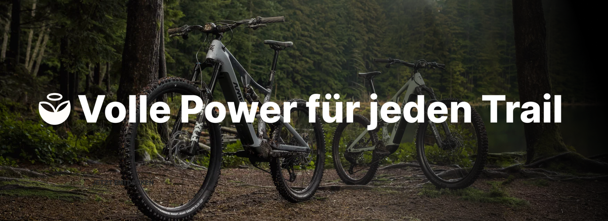 E-Mobilität
