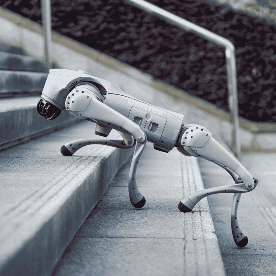 Unitree Go2 Air , Roboter, Grau, Inklusive Ferbedienung