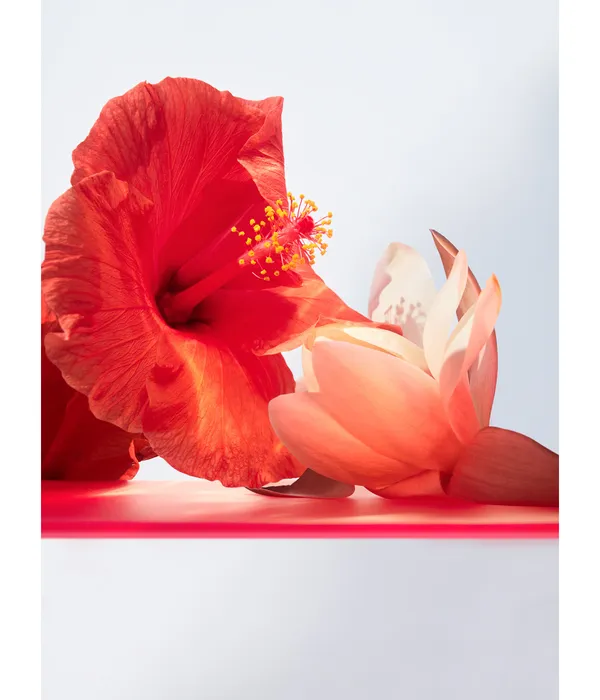 Bvlgari Omnia Coral Eau de Toilette Spray